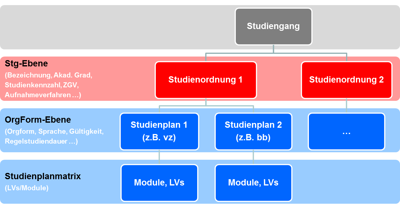 Struktur und Gliederung einer Studienordnung